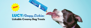 Dog Lickies Information graphic