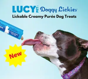 Dog Lickies Information graphic