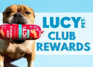Lucy Club Rewards