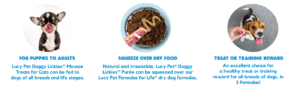 Dog Lickies Information graphic
