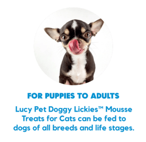 Dog Lickies Information graphic