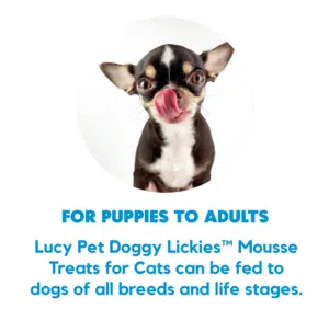Dog Lickies Information graphic