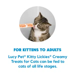 Dog Lickies Information graphic