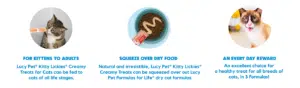Dog Lickies Information graphic