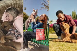 Pets and Happiness