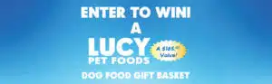 Win a basket