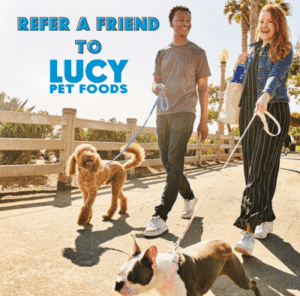 Dog Food - Refer a Friend