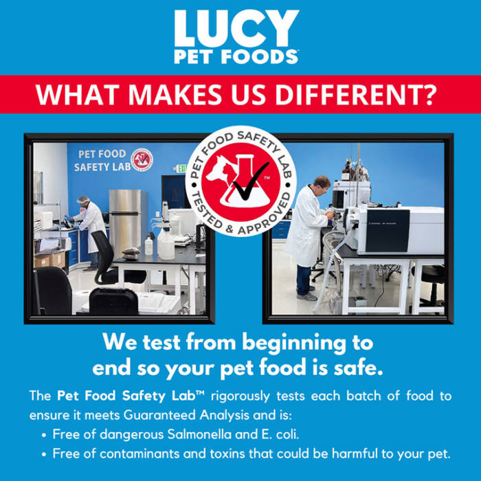 Best Dog Food Pet food safty