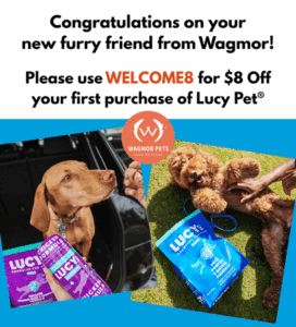 Dog Food -Wagmor Banner Wagmor M