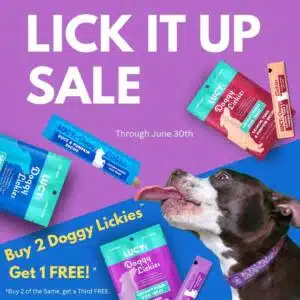 Best Dog Food Brand