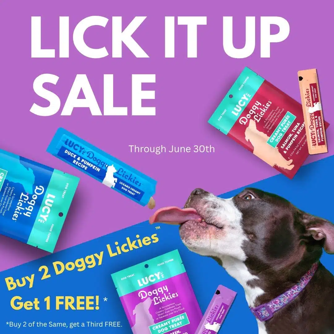 Best Dog Food Brand
