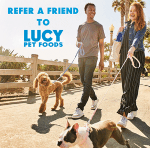Refer a Friend to the Best Dog Food