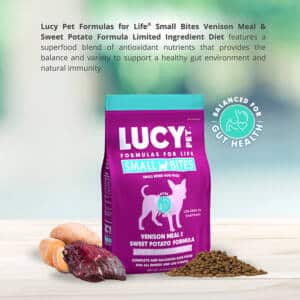 Sensitive Stomach Dog Food
