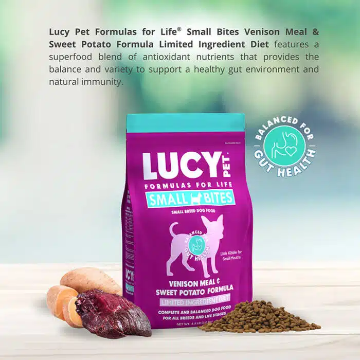 Sensitive Stomach Dog Food