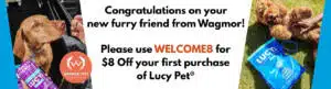 Dog Food -Wagmor Banner Wagmor
