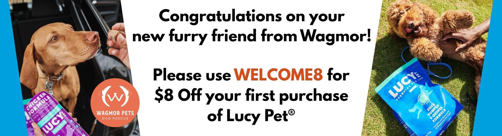 Dog Food -Wagmor Banner Wagmor