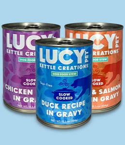 Best Wet Dog Food