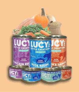 Dog Food for Digestion