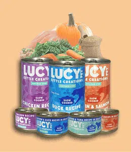 Dog Food for Digestion