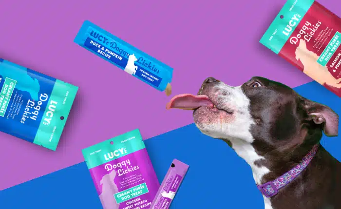 Healthy dog eating the best quality dog food