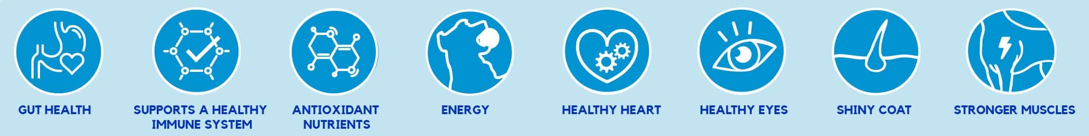 Icons for Gut health and support