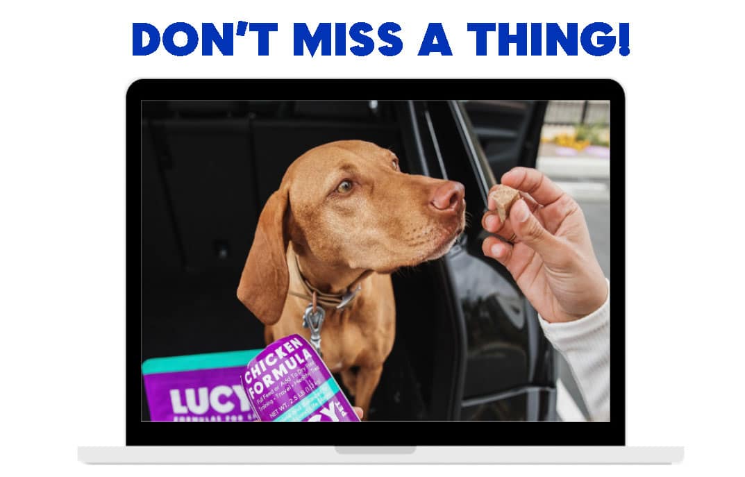 Sign Up for Best Dog Food Newsletter