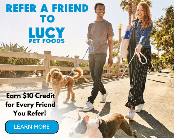  Refer a Friend to the Best Dog Food