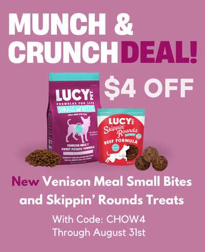 Best Dog Food Brand