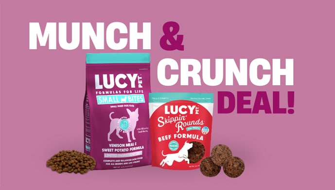 Best Dog Food Brand