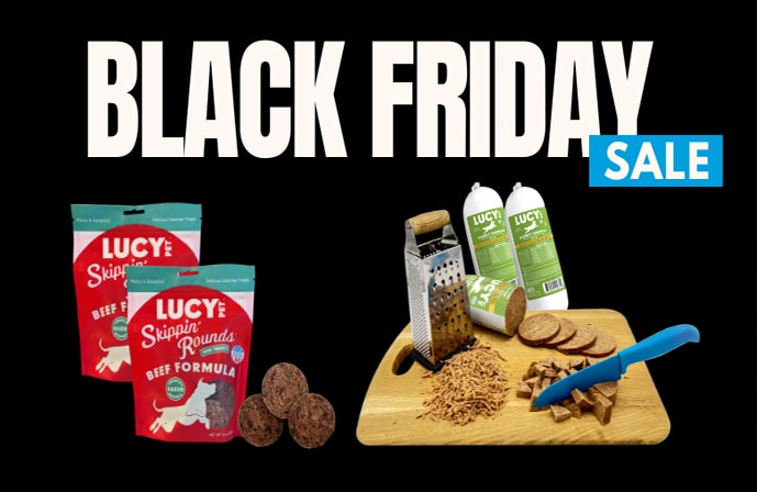 Healthy dog eating the best quality dog food