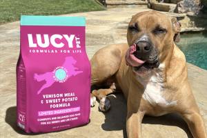 Novel Proteins for Dogs