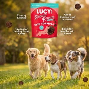 Best Dog Treats