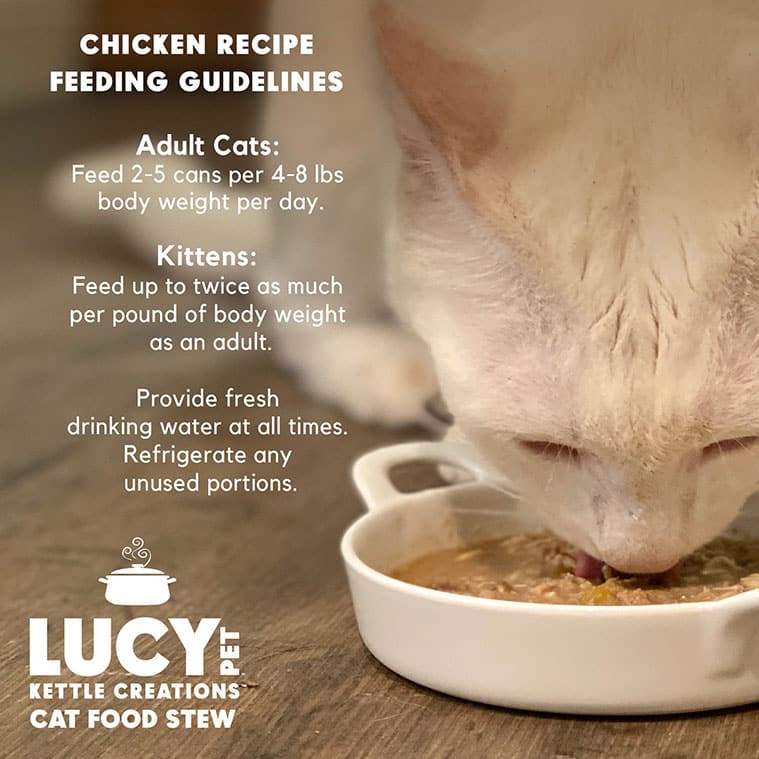 Kettle Creations® Chicken Recipe in Gravy- Cat Food Case of 12 - Image 5