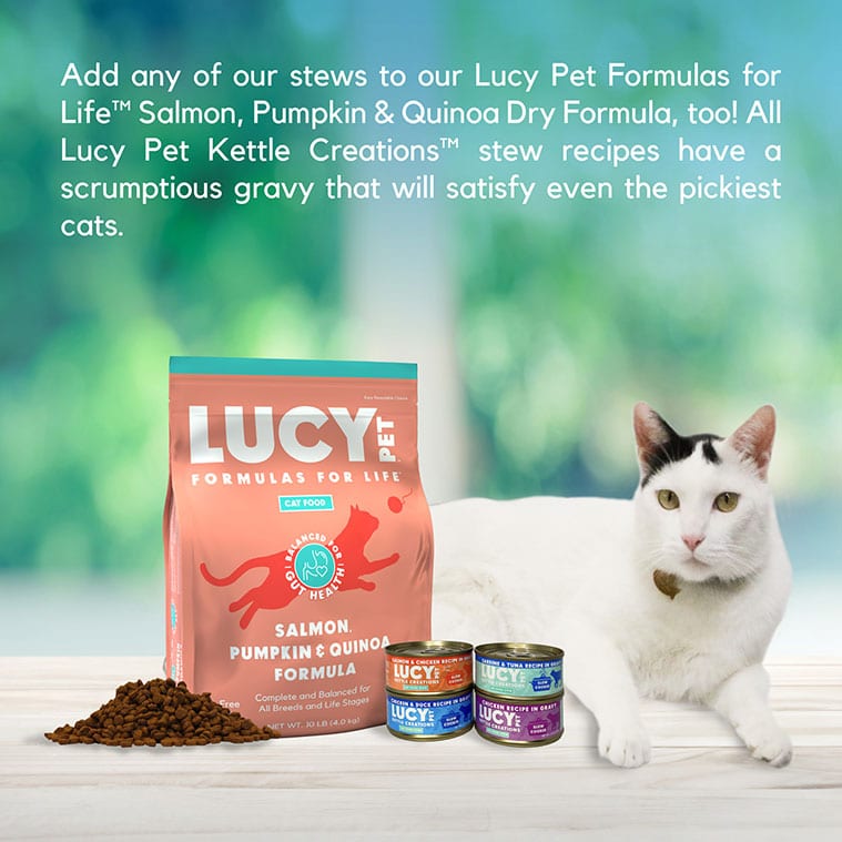 Kettle Creations® Chicken Recipe in Gravy- Cat Food Case of 12 - Image 7