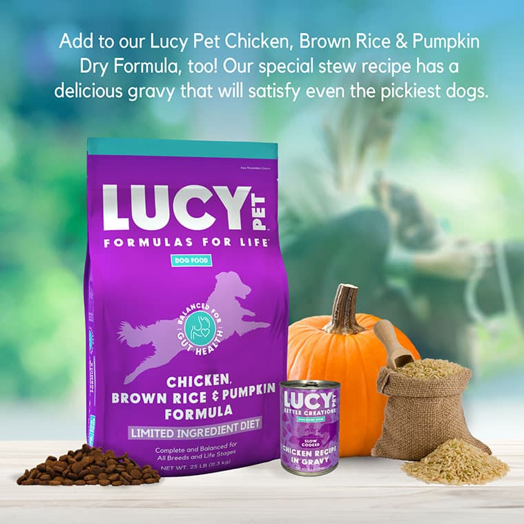 Kettle Creations® Chicken Recipe in Gravy - Dog Food Case of 12 - Image 7